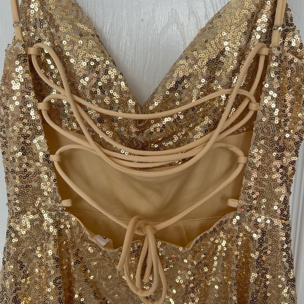 Lucy in the sky gold dress.